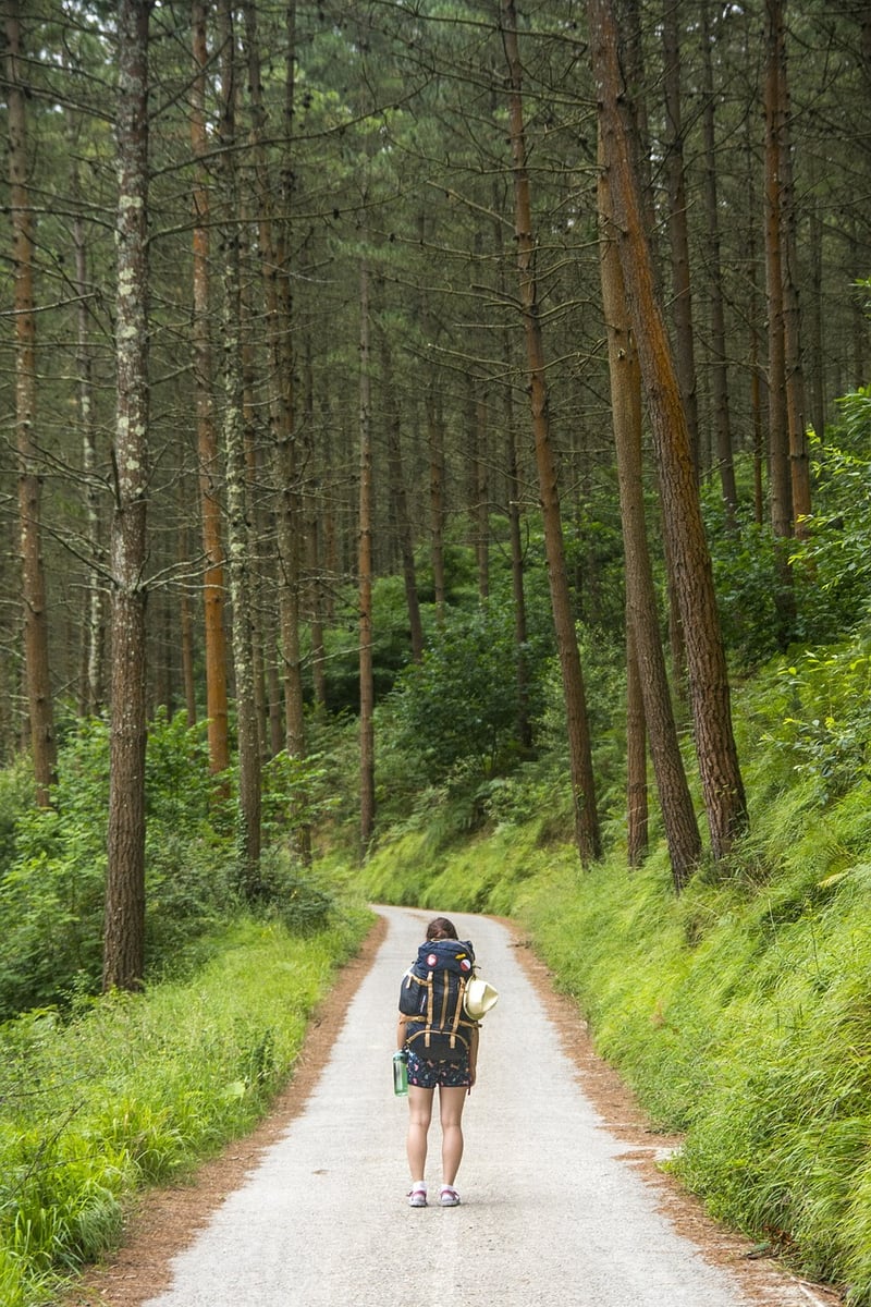 Traveler with backpack
